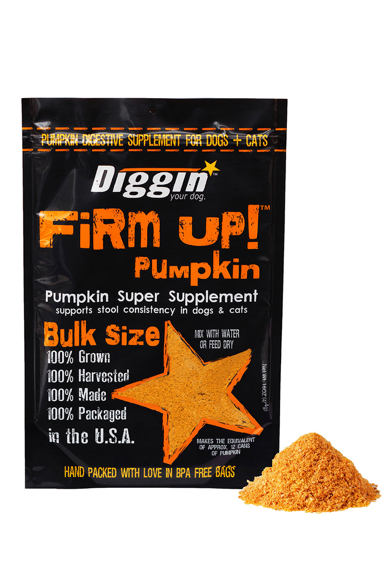 FiRM UP Original Pumpkin Super Supplement 1 LB Bulk Size freeshipping The Good Dog Store