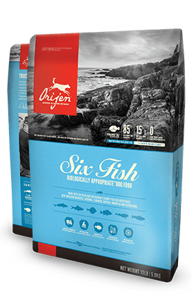 Orijen six fish dog food 25 lb best sale