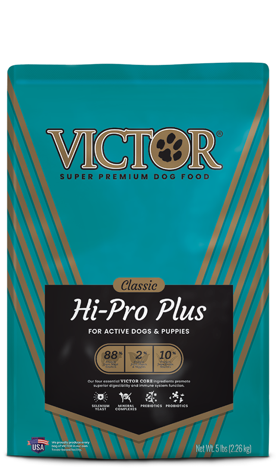 Victor Dog Hi Pro Plus 5 lb freeshipping - The Good Dog Store