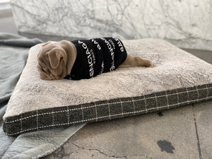 Balenciaga sweater small freeshipping - The Good Dog Store