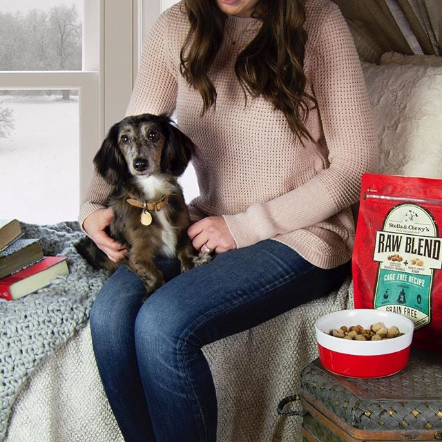 Stella & Chewy’s Raw Blend Cage Free for Dog freeshipping - The Good Dog Store