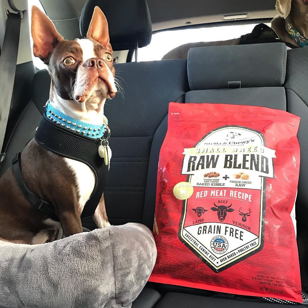 Stella & Chewy’s Raw Blend Red Meat Small Breed Dog freeshipping - The Good Dog Store