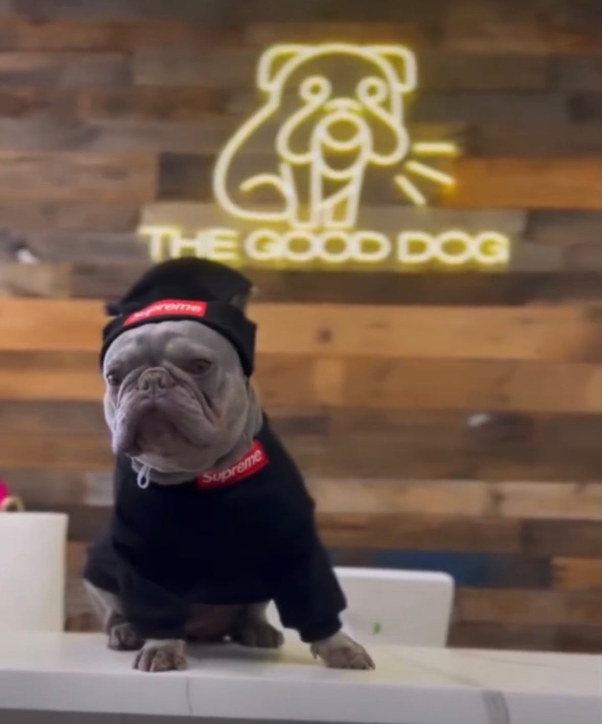 Supreme Turtle Neck Sweater & Beanie