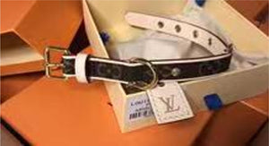 Pup Lv Leather collar and leash freeshipping - The Good Dog Store